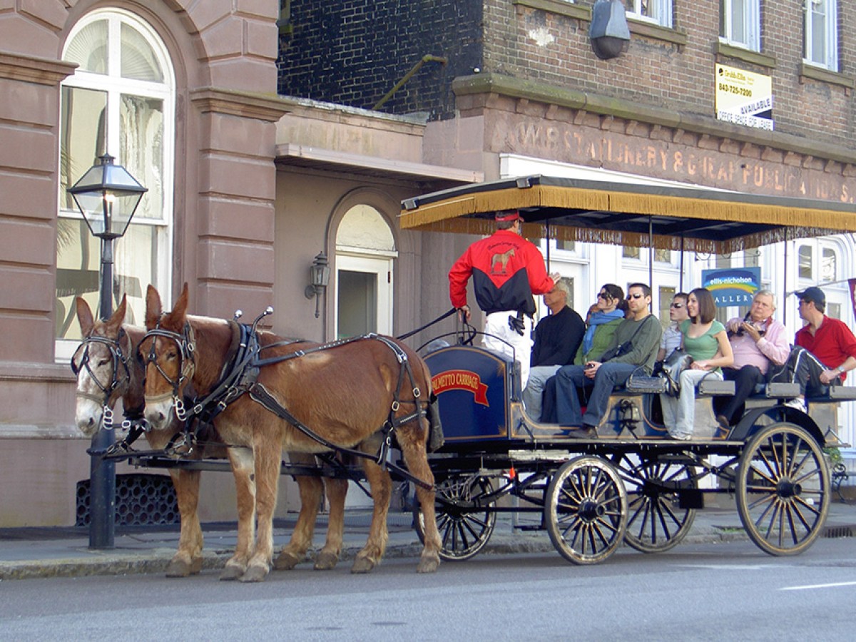 a man riding a horse drawn carriage