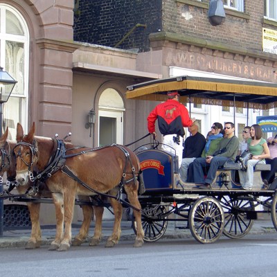 a man riding a horse drawn carriage